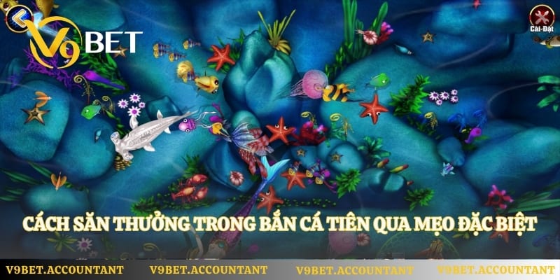 Cách săn thưởng trong bắn cá tiên qua mẹo đặc biệt