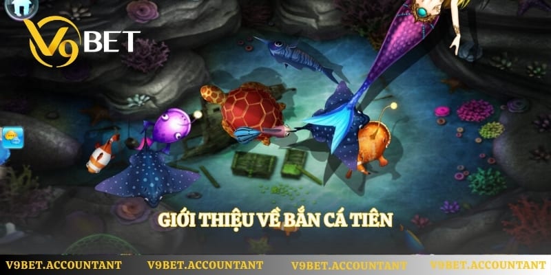Giới thiệu về bắn cá tiên